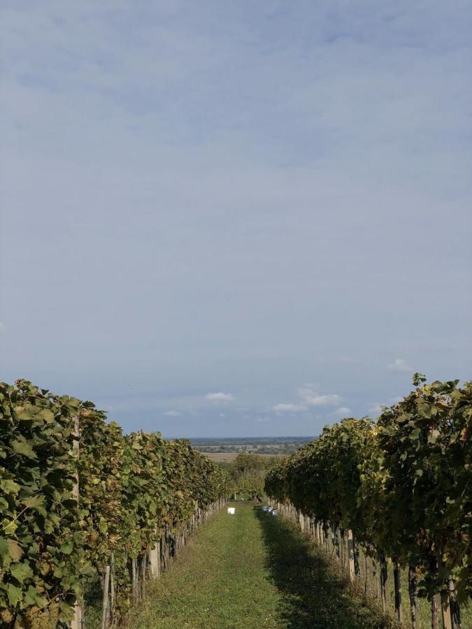 Baranja Black Hill'S Gajic Exterior photo