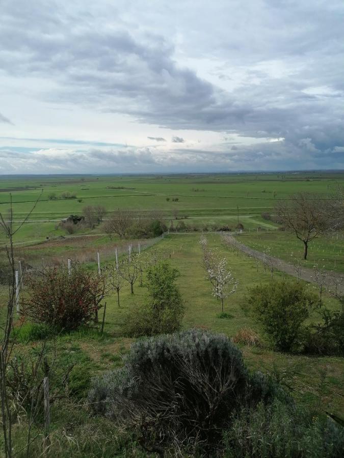 Baranja Black Hill'S Gajic Exterior photo